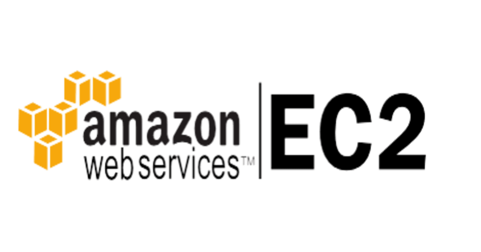 Hosting Your Website: Launching AWS EC2 Instance with Linux